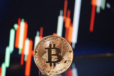 Bitcoin boğa grafik ralli