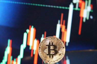 Bitcoin boğa grafik ralli