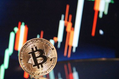 Bitcoin boğa grafik ralli