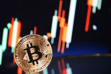 Bitcoin boğa grafik ralli