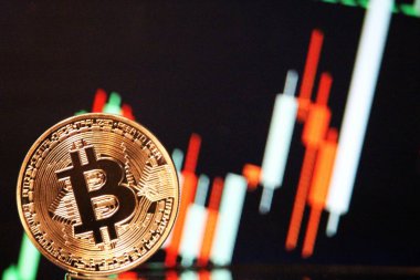 Bitcoin boğa grafik ralli