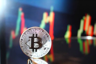 Bitcoin boğa grafik ralli