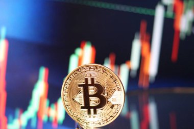 Bitcoin boğa grafik ralli