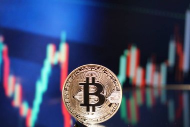 Bitcoin boğa grafik ralli