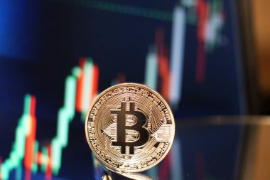 Bitcoin boğa grafik ralli