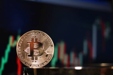 Bitcoin boğa grafik ralli