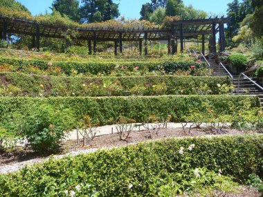 Park Berkeley, California 2011