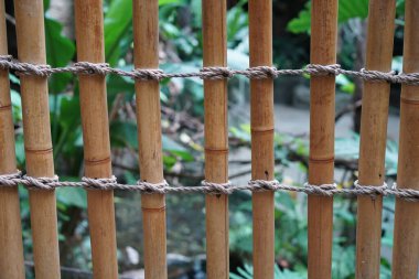 Ormandaki eski ahşap çitler