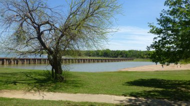 Kuzey Teksas 'taki Cooper State Park' ta.  