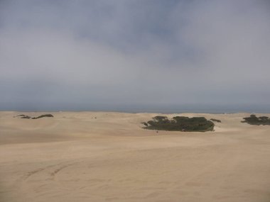 Ölü Deniz kıyısında