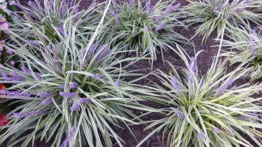 Washington DC, Usa 'daki fabrikalar