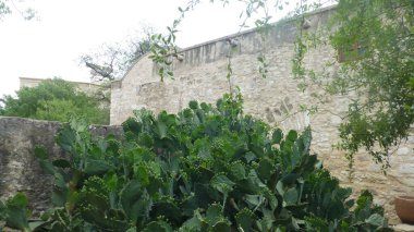 San Antonio, Teksas 'taki tarihi Alamo manzarası.