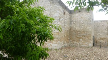 San Antonio, Teksas 'taki tarihi Alamo. 2014. 