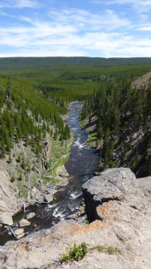 Wyoming, Usa 'daki Yellowstone Ulusal Parkı. 