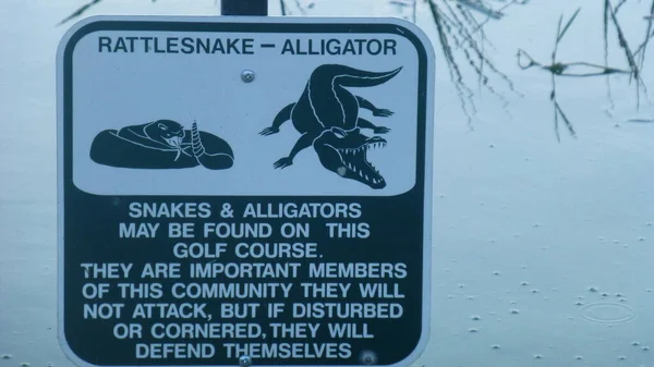 Alligator Schild Einem Park Der Nähe Von Orlando Florida — Stockfoto
