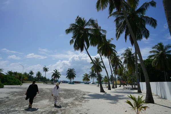 The Maldivler 'deki Kamadhoo Adası' ndaki yerel yaşam tarzının görüntüsü