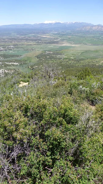 Colorado Daki Mesa Verde Ulusal Parkı Usa — Stok fotoğraf