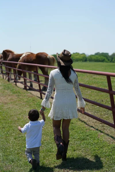 Мать Сын Смотрят Лошадей Северном Техасе Сша — стоковое фото