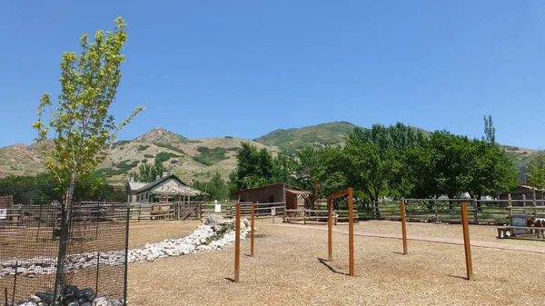 View at a park in the hills to the east of Salt Lake City, Utah