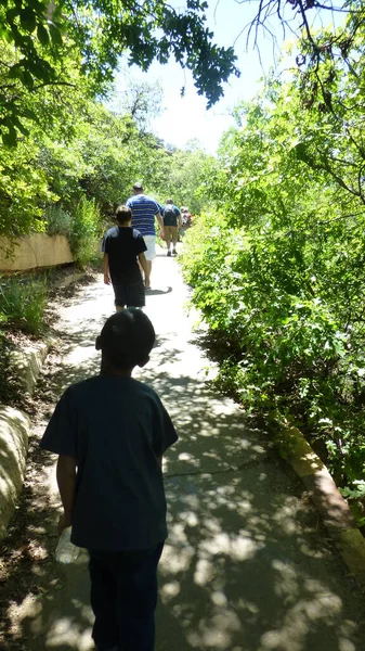 Vader Met Kinderen Wandelend Het Park — Stockfoto