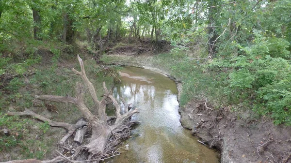 Creek Oak Point Nature Preserve Plano Texas Een Buitenwijk Van — Stockfoto