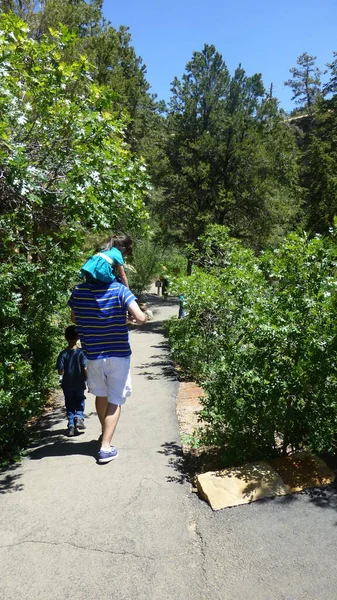 Πατέρας Δύο Παιδιά Που Περπατούν Στο Πάρκο Εικόνα Αρχείου