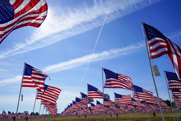 Field Usa Flags Blue Sky Background Plano Texas — Stock Photo, Image