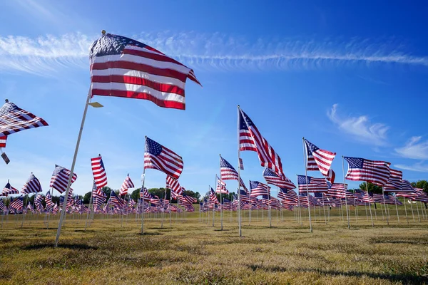 Campos Banderas Estadounidenses Plano Texas — Foto de Stock