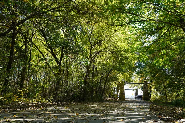 Oude Houten Brug Het Park — Stockfoto