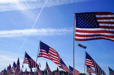 Plano, Teksas, ABD 'de bir grup Amerikan bayraklı bir saha.. 