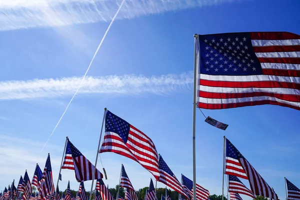 Field Group American Flags Plano Texas Usa — Stock Photo, Image