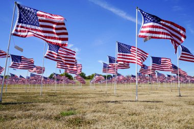 Plano, Teksas, ABD 'de bir grup Amerikan bayraklı bir saha.. 