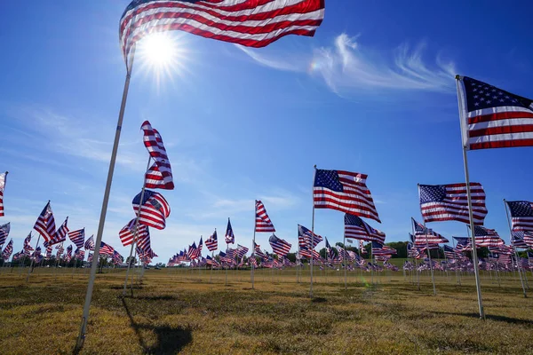 Field Group American Flags Plano Texas Usa — Stock Photo, Image