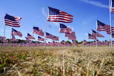 Plano, Teksas, ABD 'de bir grup Amerikan bayraklı bir saha.. 