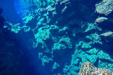 Silfra - absolutely clear blue water between continental plates in Iceland