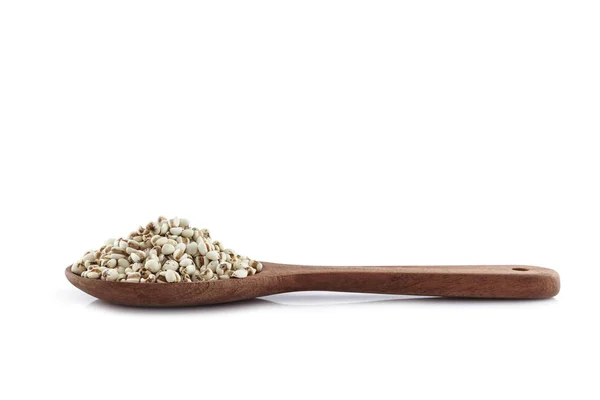 Job's tear in spoon on white background. — Stock Image Job Tear Spoon White Background Stock Photo