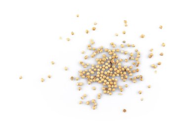 Kişniş tohumları beyaz arkaplanda üst görünüm.