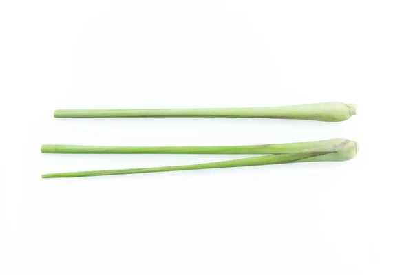 Bundle Lemon Grass White Background Stock Image