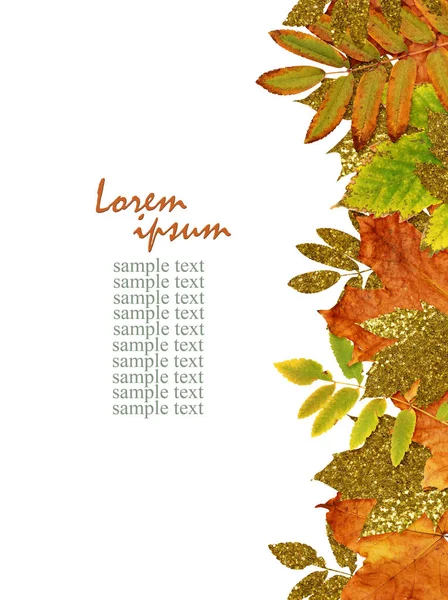 Kleurrijke en gouden herfstbladeren in rand — Stockfoto