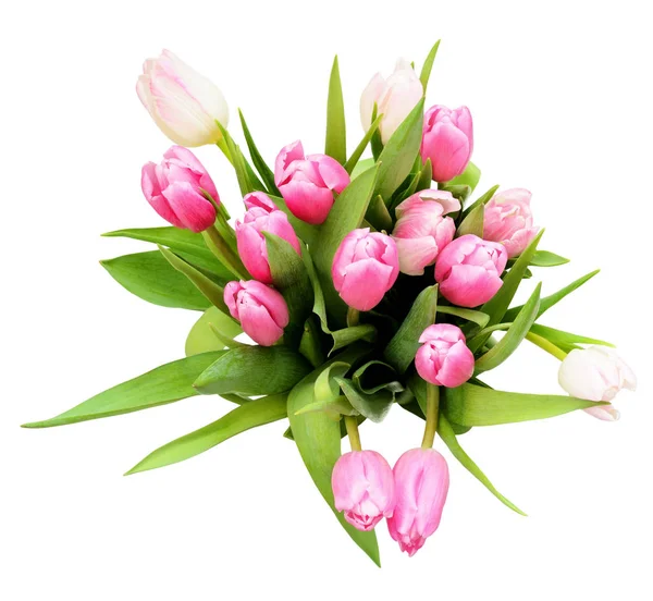 Pink tulip flowers bouquet — Stock Photo, Image