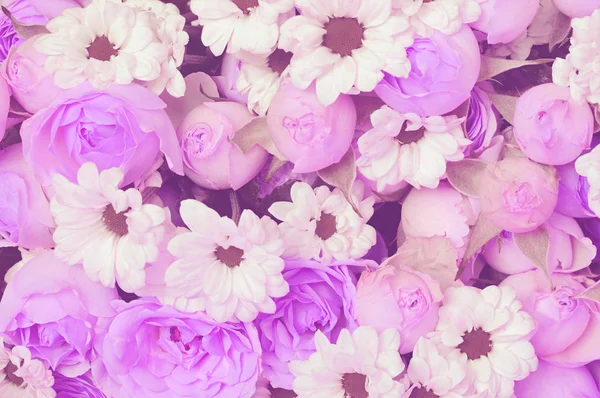 Ramo de rosas púrpuras y flores de margarita blanca para backgro de vacaciones —  Fotos de Stock