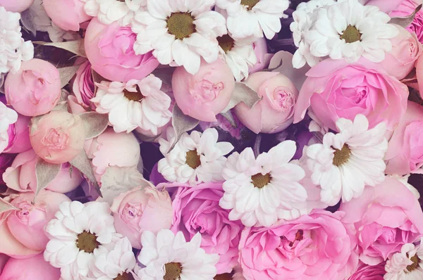 Lila Rosen und weiße Gänseblümchen Blumenstrauß für Urlaub backgro — Stockfoto
