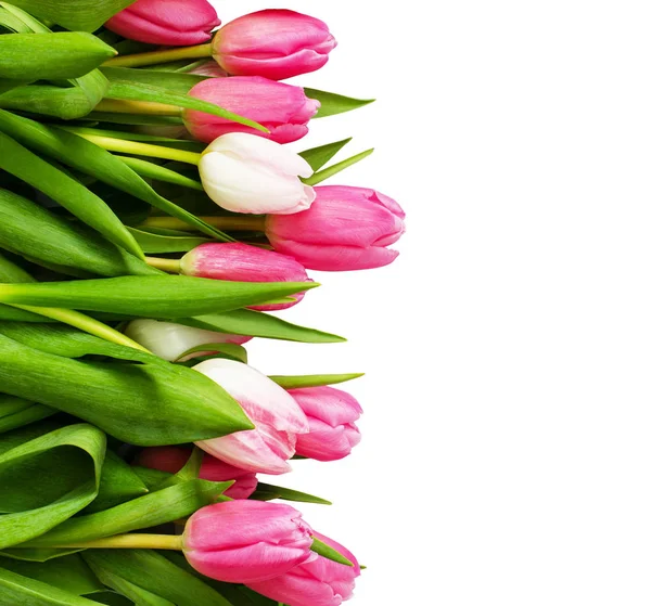 ピンクのチューリップの花の花束 — ストック写真