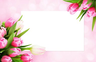 Pembe Lale çiçek köşelerinde ve beyaz kart
