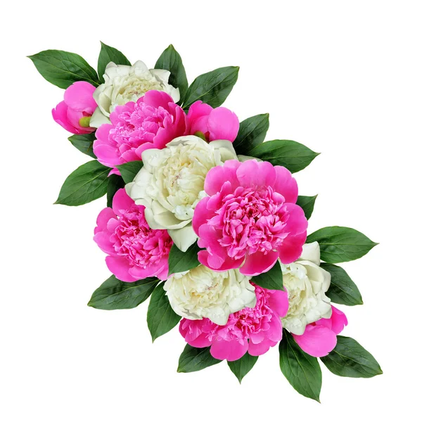 ピンクと白の牡丹の花のアレンジメント — ストック写真