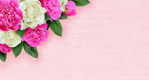 Flores de peonías rosadas y blancas arreglo de esquina sobre lienzo — Foto de Stock