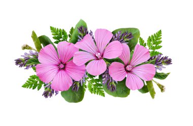 yeşil yaprakları ile pembe ve mor çiçekler 
