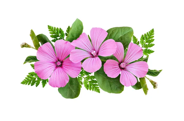 ピンクの花と緑の葉の線の配置 — ストック写真