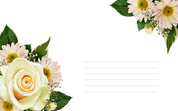 Witte roos en asters bloemen hoek regelingen — Stockfoto