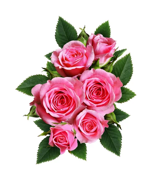 Pink rose flowers arrangement isolated on white — Stock Photo, Image